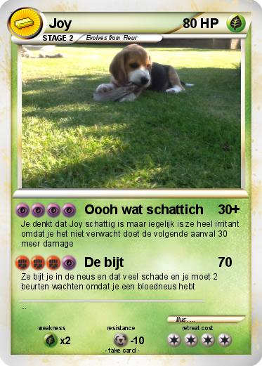 Pokemon Joy