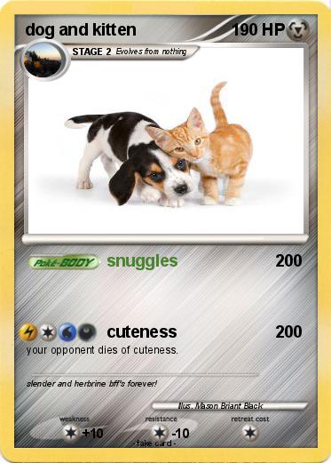 Pokemon dog and kitten