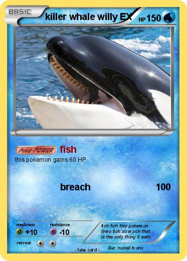Pokemon killer whale willy EX