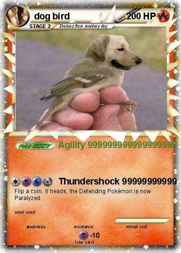 Pokemon dog bird