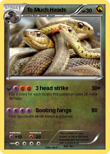 Pokemon To Much Heads