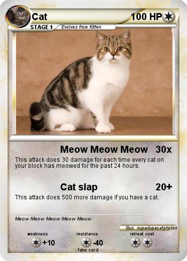 Pokemon Cat