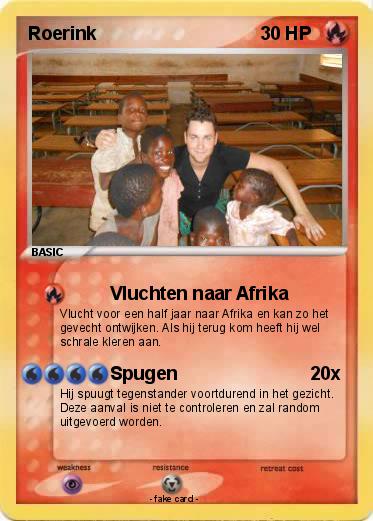 Pokemon Roerink