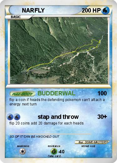 Pokemon NARFLY
