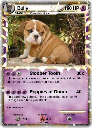 Pokemon Bully