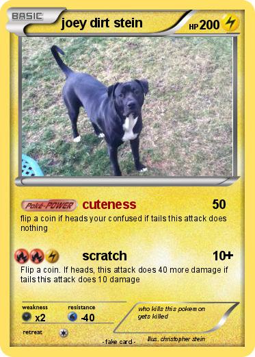 Pokemon joey dirt stein