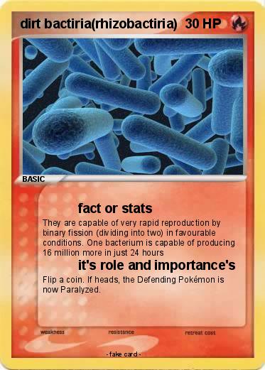 Pokemon dirt bactiria(rhizobactiria)