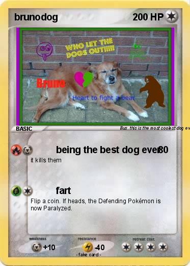 Pokemon brunodog