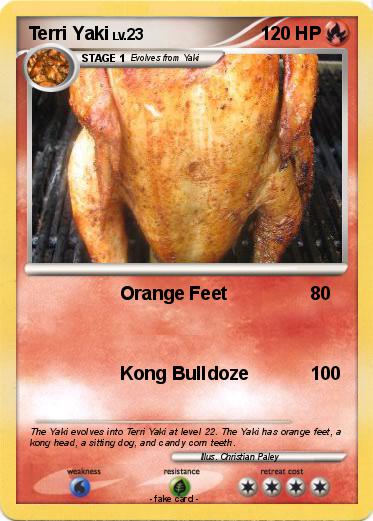 Pokemon Terri Yaki
