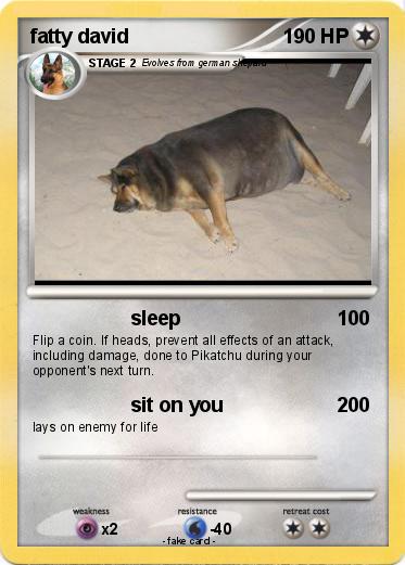 Pokemon fatty david