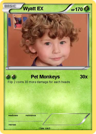 Pokemon Wyatt EX