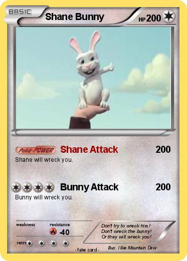 Pokemon Shane Bunny