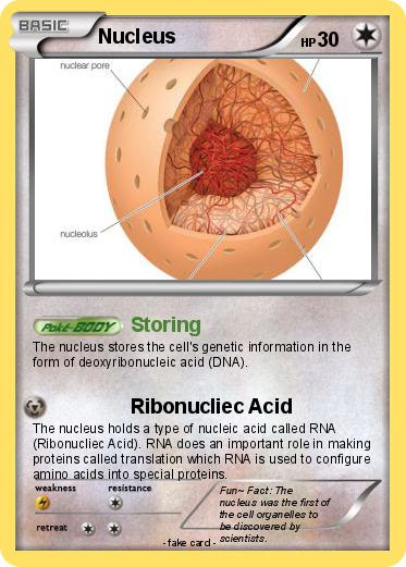 Pokemon Nucleus