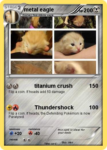 Pokemon metal eagle