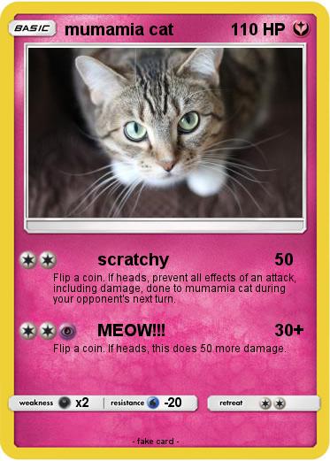Pokemon mumamia cat