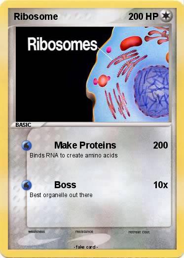 Pokemon Ribosome
