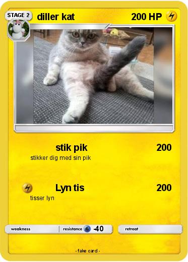 Pokemon diller kat