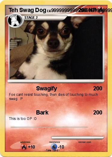 Pokemon Teh Swag Dog