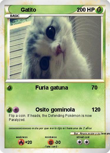 Pokemon Gatito