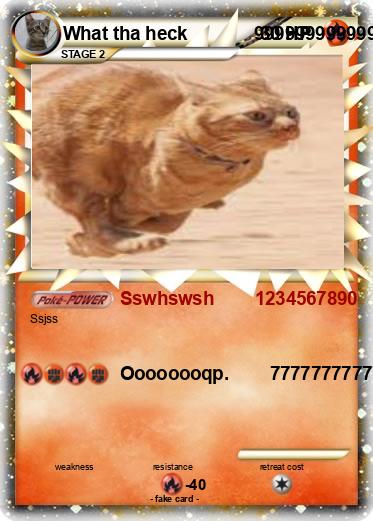 Pokemon What tha heck             9999999999999999999999999