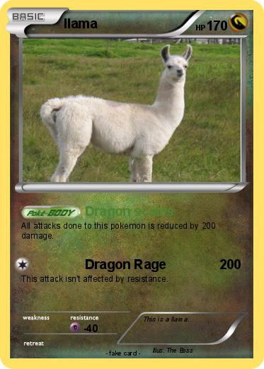 Pokemon llama