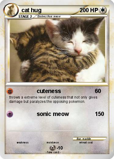 Pokemon cat hug