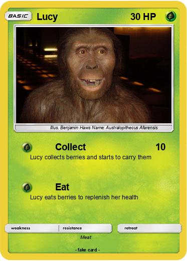 Pokemon Lucy