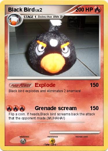 Pokemon Black Bird