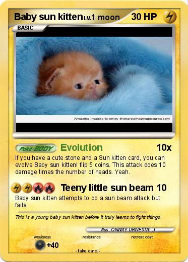 Pokemon Baby sun kitten