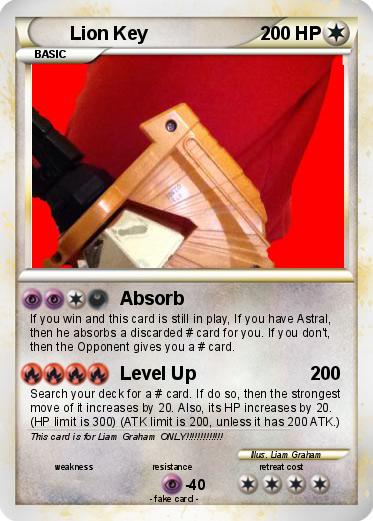 Pokemon Lion Key