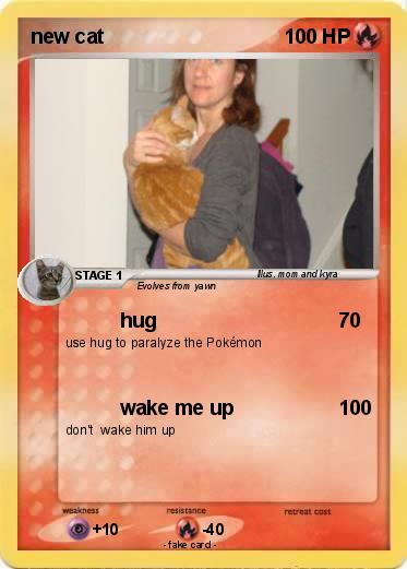 Pokemon new cat