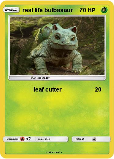 Pokemon real life bulbasaur
