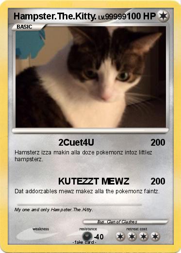 Pokemon Hampster.The.Kitty.