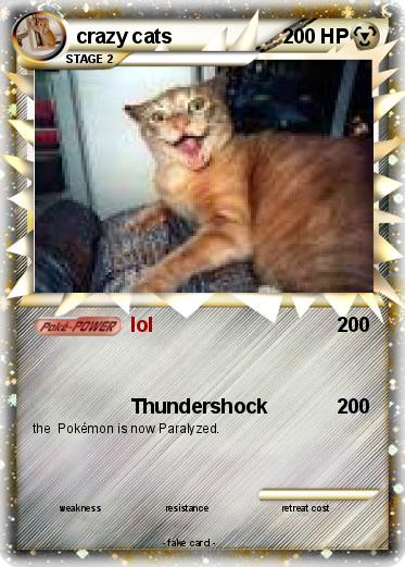 Pokemon crazy cats