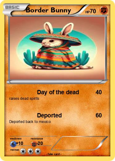 Pokemon Border Bunny
