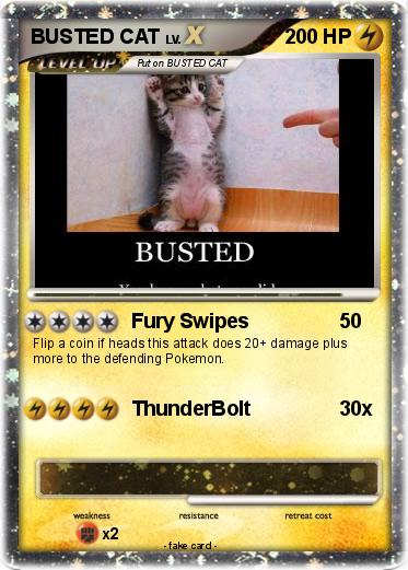 Pokemon BUSTED CAT