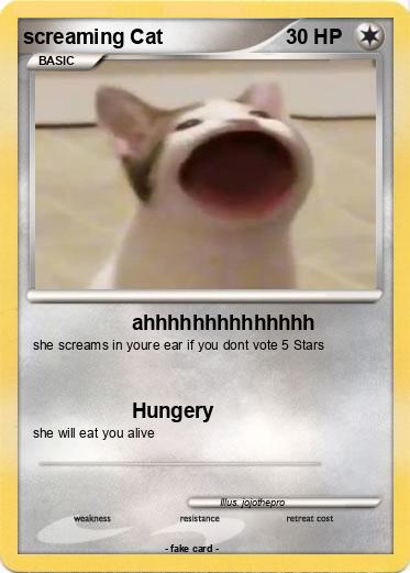 Pokemon screaming Cat