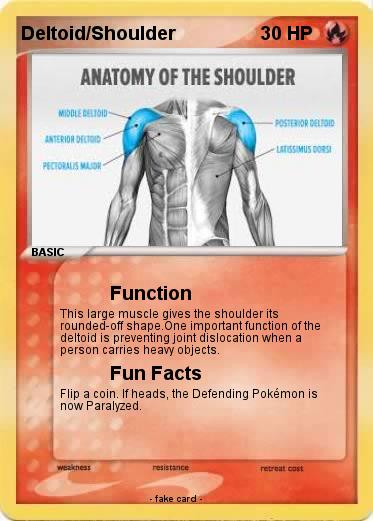 Pokemon Deltoid/Shoulder