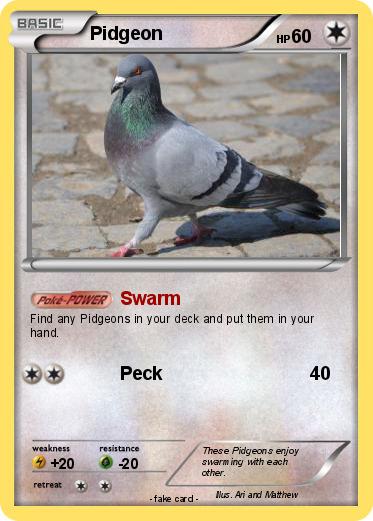 Pokemon Pidgeon