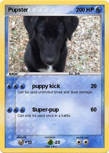 Pokemon Pupster