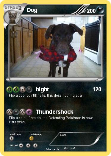 Pokemon Dog