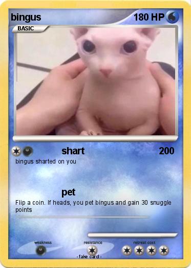 Pokemon bingus