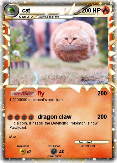 Pokemon cat