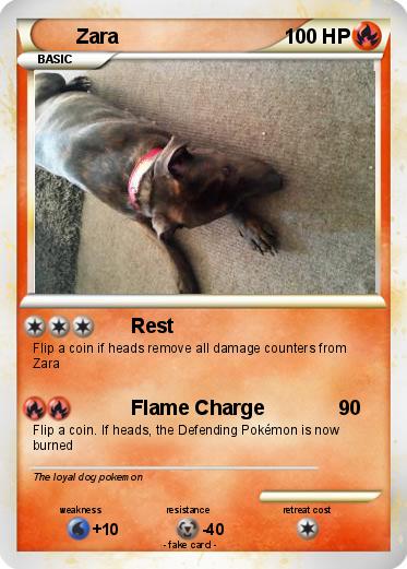 Pokemon Zara