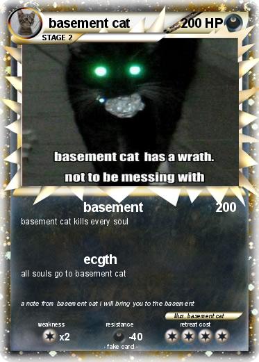 Pokemon basement cat