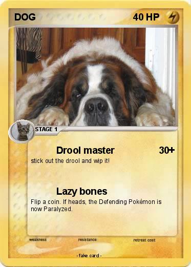 Pokemon DOG