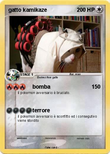 Pokemon gatto kamikaze