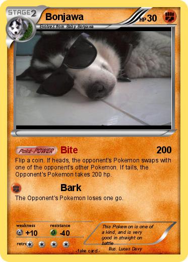 Pokemon Bonjawa