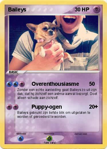 Pokemon Baileys