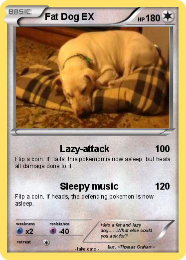 Pokemon Fat Dog EX